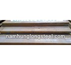 THÉP TẤM SS400