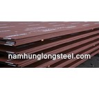 Thép tấm A36, A572, SS400, S275, Q235, Q345B, S45C, A115, A516, SB410, ASTM A515, CT3, Chịu Mài Mòn